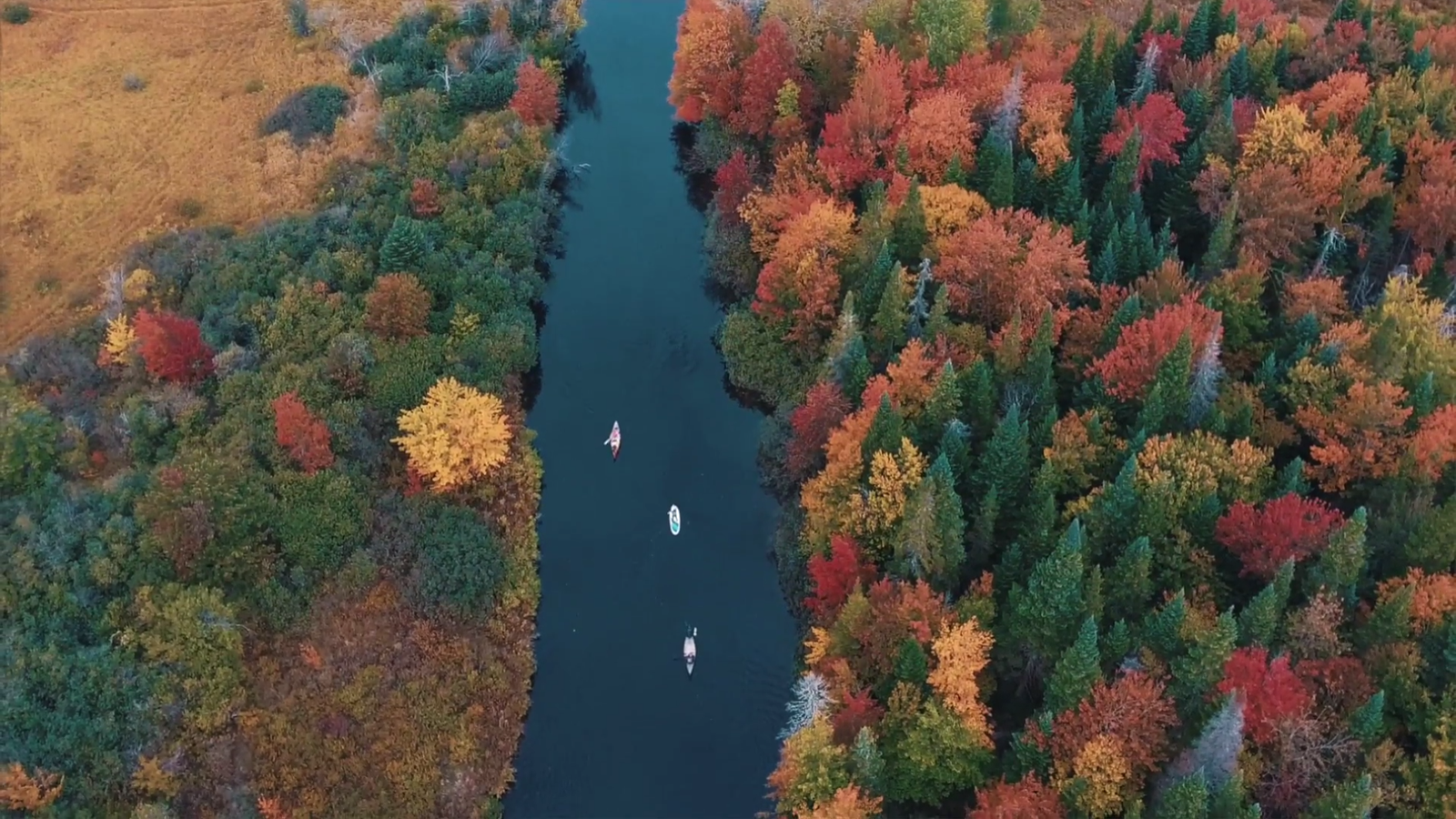Paddleboard sur la rivière Saint-Charles à l'automne